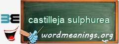 WordMeaning blackboard for castilleja sulphurea